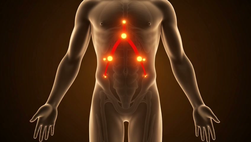 The Inflammation Connection