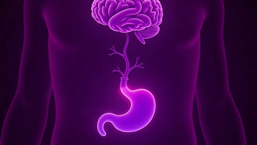 The Gut-Brain Axis